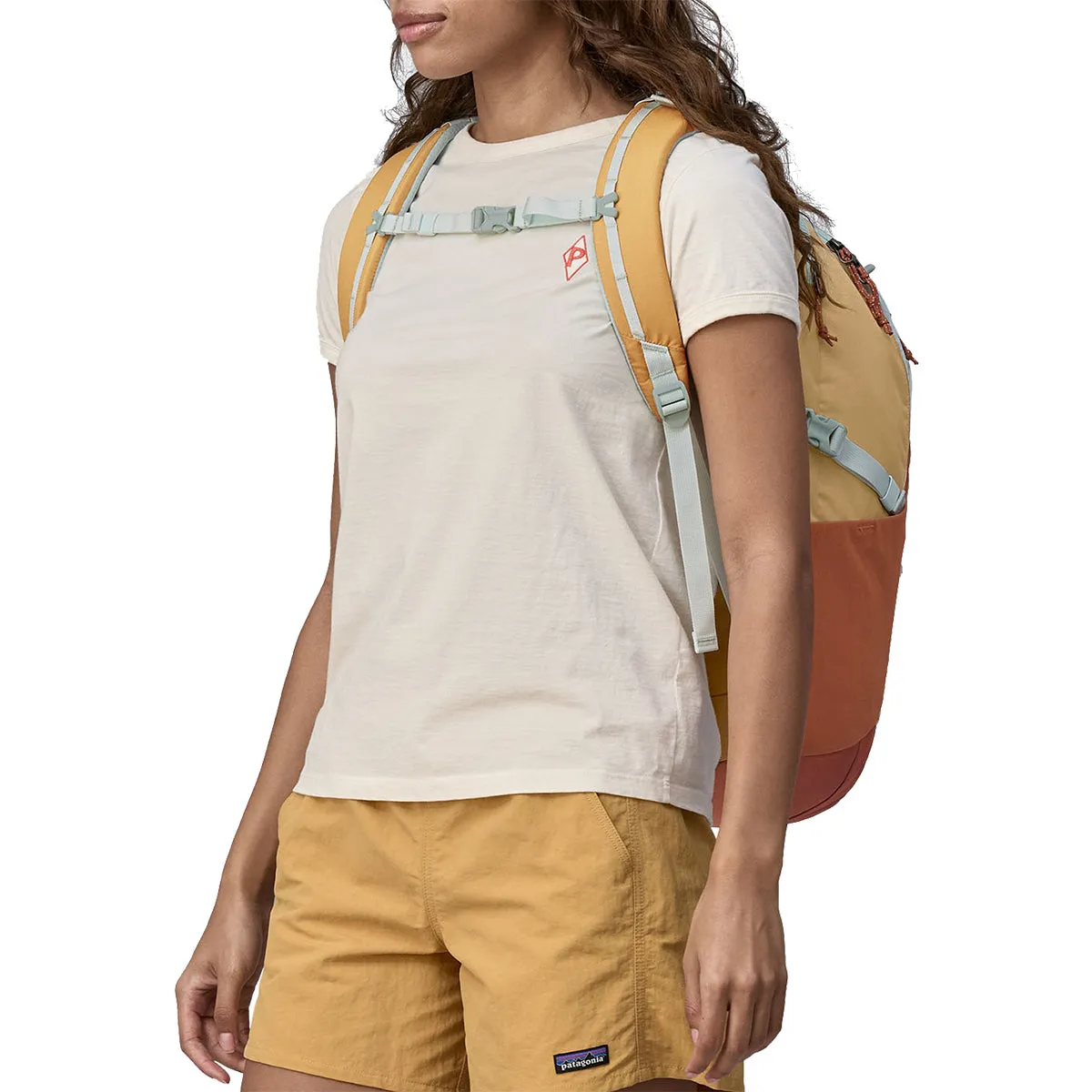 Patagonia Refugio Daypack Backpack - 30L