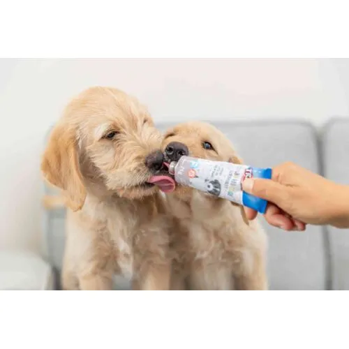 Trixie Premio | Dog Training Treat | Squeeze Tube Pâté Paste - 110g