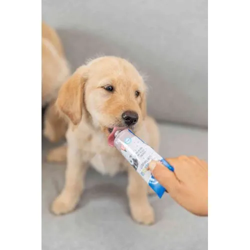 Trixie Premio | Dog Training Treat | Squeeze Tube Pâté Paste - 110g